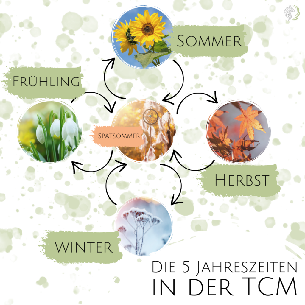 Mehrwert der TCM für die praktische Hundefütterung - NaturHunde Ernährungsberatung