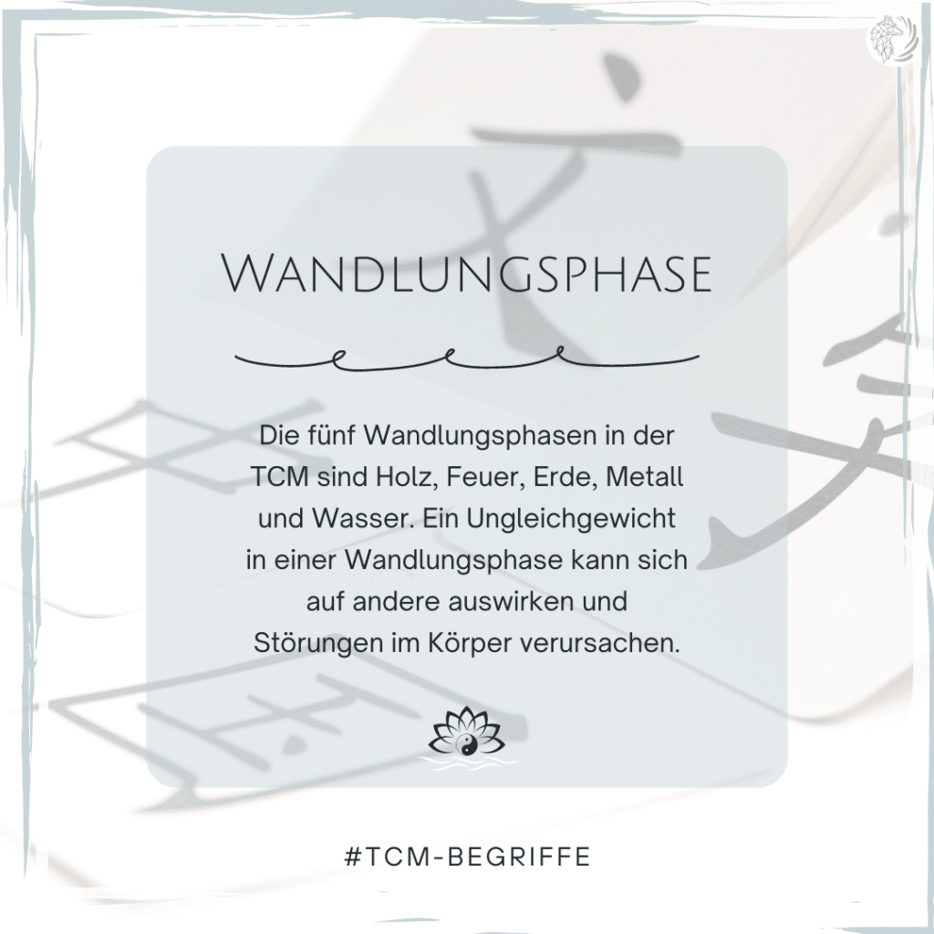 Die Wandlungsphase Erde _ Die Erde in der Chinesischen Medizin – ZODLGP